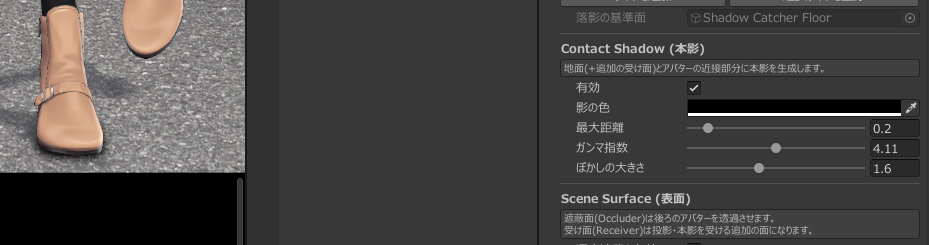 本影